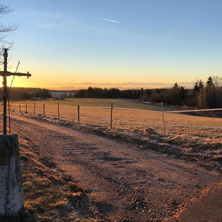 Appartamento Pfaffensteghof Rickenbach  Esterno foto