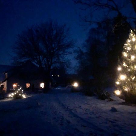 Appartamento Pfaffensteghof Rickenbach  Esterno foto