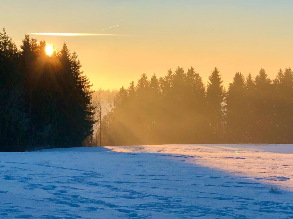 Appartamento Pfaffensteghof Rickenbach  Esterno foto