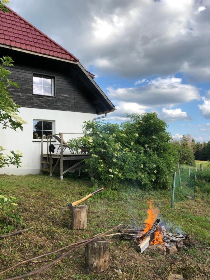 Appartamento Pfaffensteghof Rickenbach  Esterno foto