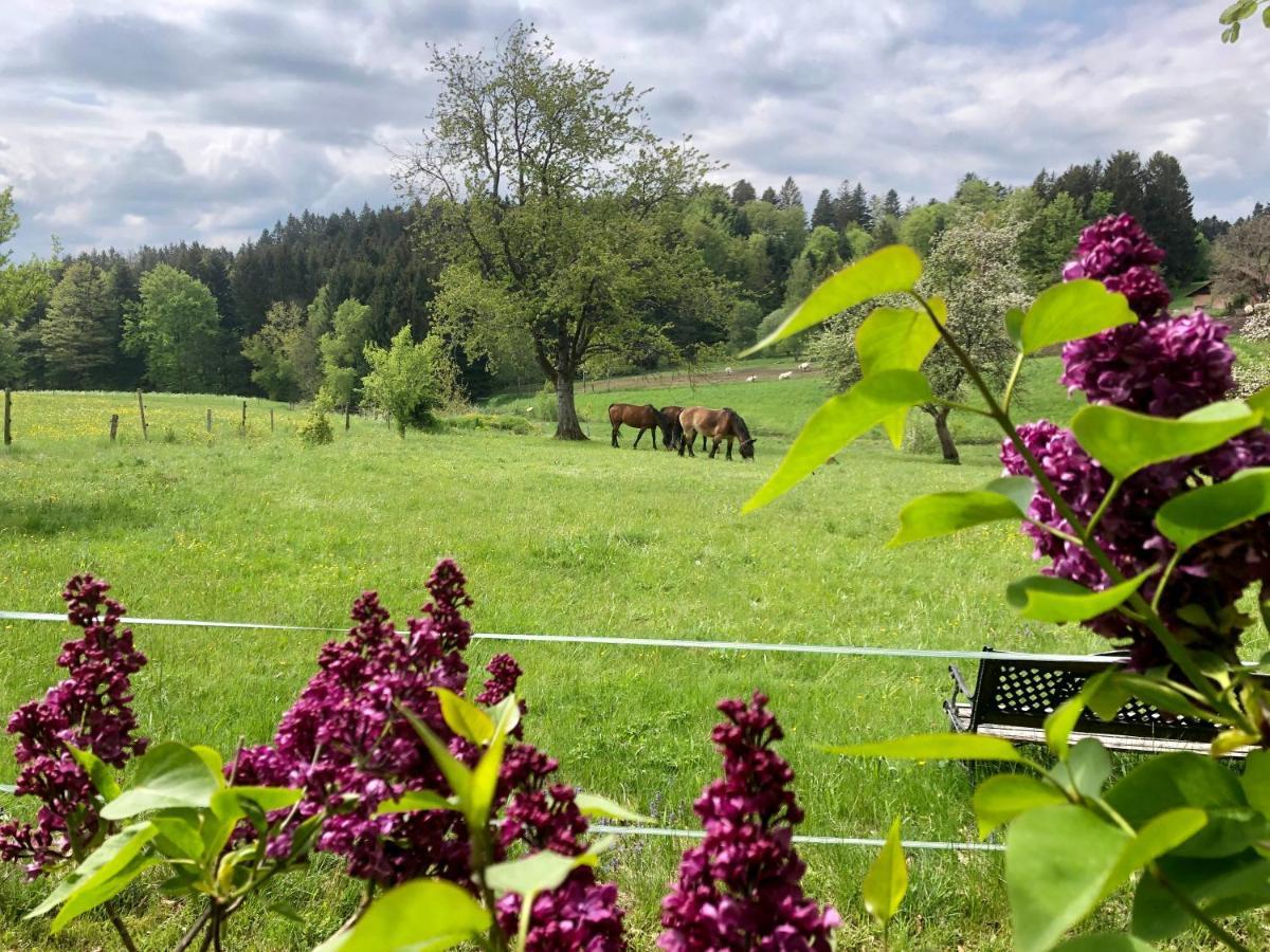 Appartamento Pfaffensteghof Rickenbach  Esterno foto